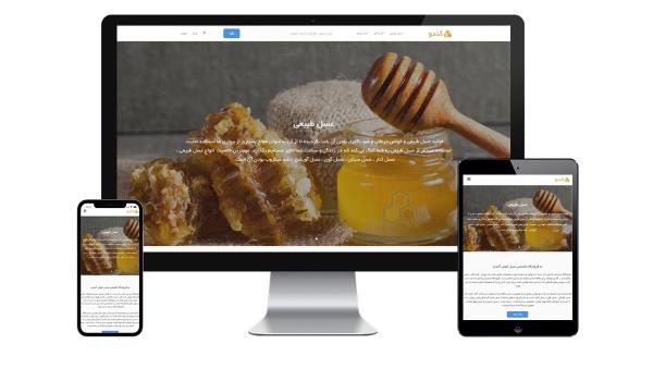 طراحی سایت فروشگاه اینترنتی کندو